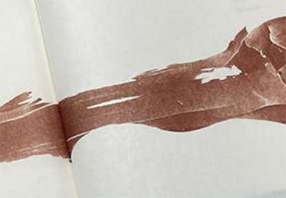 Picture of Oracle Bones