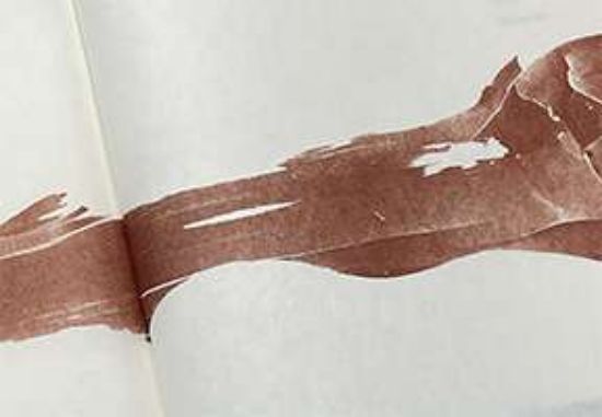 Picture of Oracle Bones