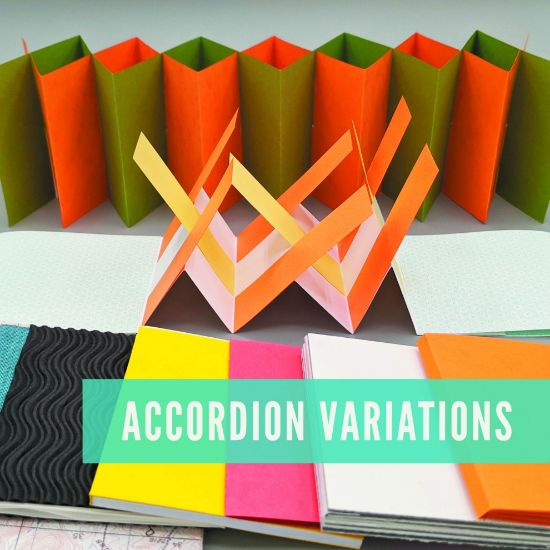 Picture of Accordion Variations, session 2