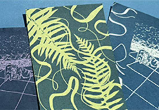 Picture of Family Book Arts Workshop: Cyanotype Pocket-Book