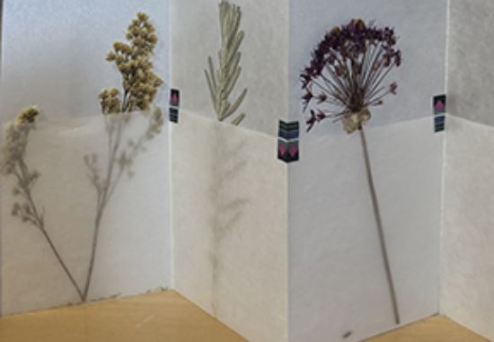 Picture of Family Book Arts: Gather & Connect