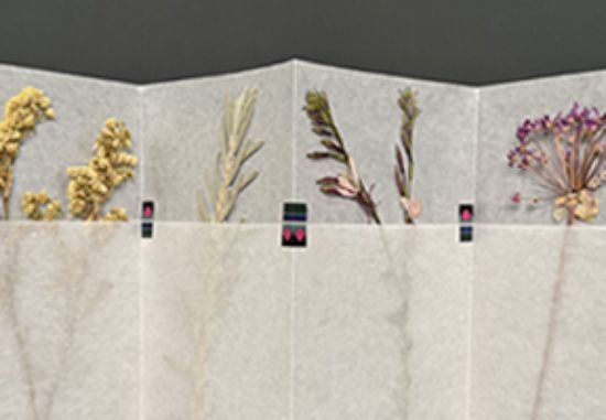 Picture of Family Book Arts: Gather & Connect